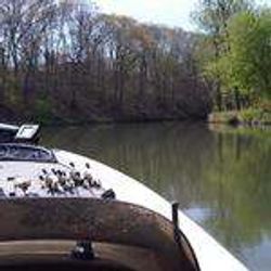 Fishing in IL