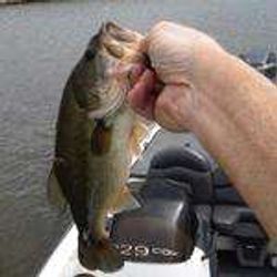 Fishing in the beautiful Itasca