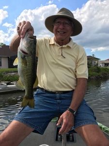 Largemouth Bass caught in IL