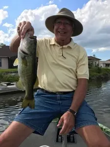 Largemouth Bass caught fishing in IL