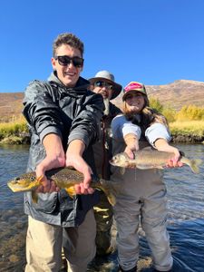 Solid river bite with fresh brown trout and whitefish.