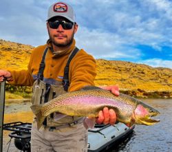 Strong river rainbow trout.