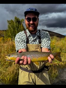 Thick river brown trout.