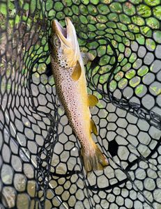 Solitary fisherman reeling in catch in UT