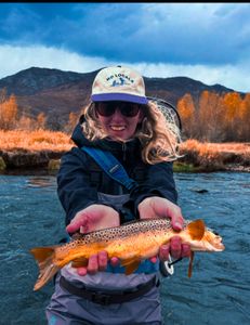One fisherman enjoying the best fishing in Provo