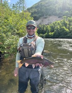 A single big rainbow trout caught while fishing in Provo
