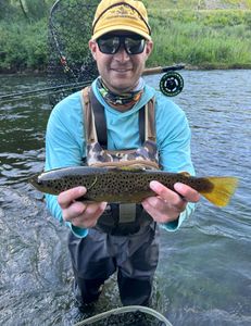 Rainbow Trout, 414 inches, fishing in UT