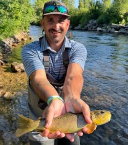 Angler fishing in UT