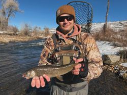 Fishing in UT