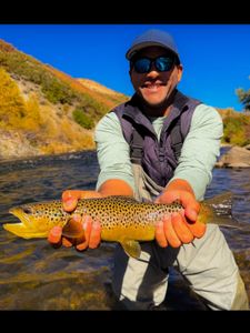 Angler fishing in Provo