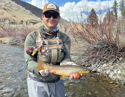 Single angler fishing in Provo