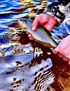 Fishing in Provo, best fishing spot