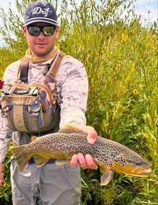 Angler fishing for a big catch in Provo