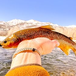 Fishing in Provo
