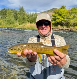 A fisherman landing a sea trout in Provo