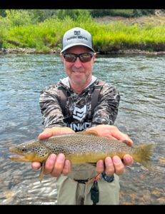 Angler holding a rainbow trout in UT