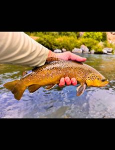 Scenic fishing landscape in UT