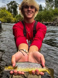 A sea trout being caught while fishing in UT