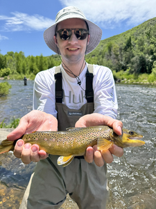 Hooked this beautiful trout while working the water in Provo.