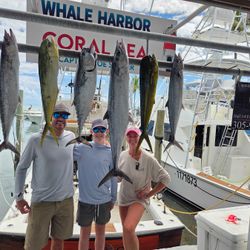 6 king mackerel, little tunny, and big fish caught in FL