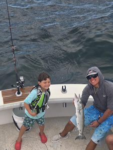 Nice barracuda on deep sea light tackle! Adventure fishing at its best.
