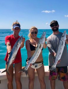 Three great barracuda caught during fishing in FL