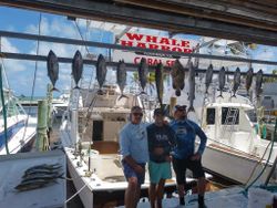 5 big fish caught in Islamorada during fishing trip