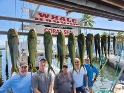 7 fish caught in Islamorada during fishing