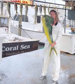 5 cero mackerel fish caught fishing in FL
