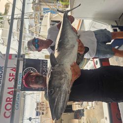 Fish-Species