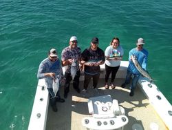 Three fish caught while fishing in FL