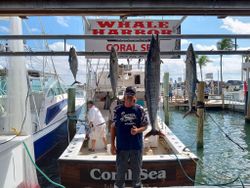Four king mackerel and wahoo fish caught in Islamorada