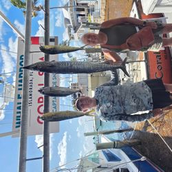 3 wahoo fish and yellowtail amberjack, 35 inches long, caught while fishing in FL