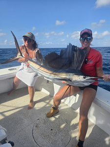 Huge Atlantic Sailfish reeled in with light tackle!