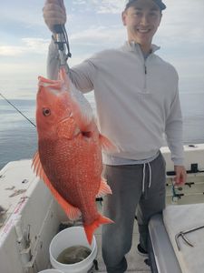 Northern Red Snapper catch trips Jacksonville FL