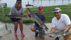 3 king mackerel caught fishing in FL