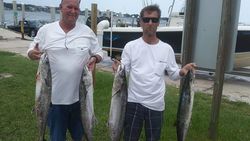 4 king mackerel fish caught in FL