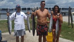 Four cero mackerel, a type of fish, caught in FL