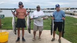 4 big fish caught while fishing in FL