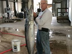 Photograph of a 33-inch king mackerel caught while fishing in FL.