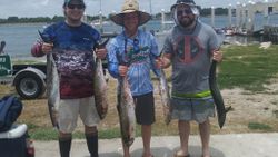 4 spotted weakfish caught in Jacksonville