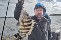 A sheepshead fish caught while fishing in Jacksonville