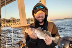 Spotted weakfish caught while fishing in FL