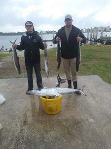 Three king mackerel, a 37-inch catch, in Jacksonville, Florida
