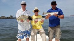 Trout and Tripletail Fishing in Orange Beach