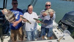 Sheepshead and Sea Trout Fishing in Gulf Shores