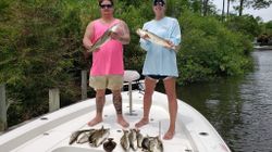 Spotted Seatrout from Gulf Shores