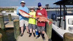 Red snapper from Gulf Shores