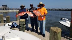 Best Red Snapper Fishing in Gulf Shores