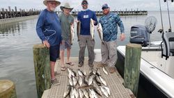 Spotted Seatrout from Gulf Shores